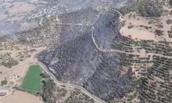İzmir Kiraz'da orman yangını
