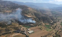 İzmir'in Kiraz ilçesinde çıkan orman yangını kontrol altına alındı