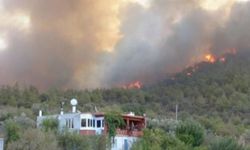 Mersin'de 24 saati aşkın süredir devam eden yangın kontrol altına alındı