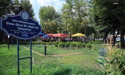Muğla Büyükşehir 8 yılda kentteki yeşil alan miktarını 3.5 kat artırdı