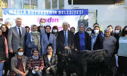 Muğla Büyükşehir Belediyesi, Yatağan'da kıl keçisi dağıtacak