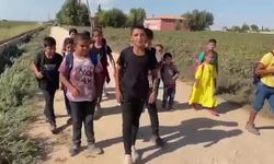 Şanlıurfa’nın Uluağaç köyünde öğrenciler, komşu köydeki okula yürüyerek gidip geliyor