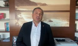 CHP'li Torun'dan Erdoğan'a: Belediyelerimizden özür dileyin