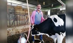 Süt üreticilerinden fiyatları artırmayan Ulusal Süt Konseyi'ne tepki: Çiftçi bu kadar bezdirilir mi?