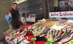 Trabzonlu balıkçılar yeni sezondan umutlu