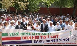 468 örgütten 1 Eylül deklarasyonu: Eşit yurttaşlık temelinde kalıcı barış