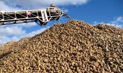Tarım ve Orman Bakanı Kirişçi Şeker pancarı alım fiyatlarını açıkladı