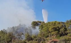 Antalya'nın Kumluca ilçesinde orman yangını çıktı