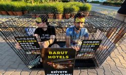 Kafessiz bir Türkiye için kafesli eylem