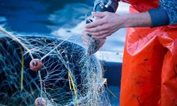 Kozanlı Balıkçı: Müşteri kendiliğinden yavaş yavaş çekildi