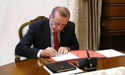 Erdoğan imzaladı: Sinop'un 3 buçuk milyon metrekare ormanlık alanı, artık "ormanlık alan" değil