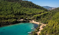 Cengiz İnşaat'ın Cennet Koy'da yapacağı turistik tesis için ÇED süreci başladı