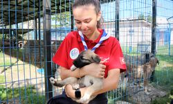 Çerkezköylü çocuklar Geçici Hayvan Bakım ve Rehabilitasyon Merkezi’ni ziyaret etti