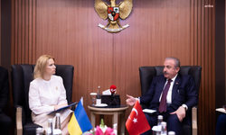 Mustafa Şentop, Ukrayna Parlamento Başkan Yardımcısı Olena Kondratiuk ile görüştü
