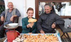 Safranbolu Belediye Başkanı Köse, Cumhuriyet Caddesi esnafı ile bir araya geldi