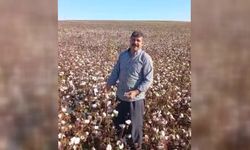 Şanlıurfalı pamuk üreticisi: Bu çiftçilerin halini görün, yoksa seneye kimse pamuk üretmeyecek