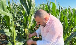 Tarsus’ta tarımda verimi artırmaya yönekik çalışmalar sürüyor