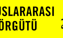Uluslararası Af Örgütü, Türkiye’yi ‘Sansür Yasası'nı yürürlükten kaldırmaya çağırdı