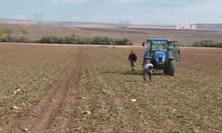 Yozgatlı çiftçi: Mazot ile çiftçinin işi bittiği zaman fiyat düşüyor
