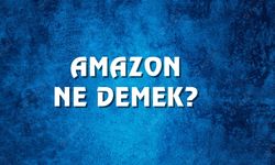 Amazon ne demek ve kökeni nedir? Amazon Ne Demek, Ne Anlama Gelir? Amazon Kelimesi TDK Sözlük Anlamı Nedir?