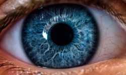 Yapılan araştırmaya göre: Dünyadaki tüm mavi gözlü insanlar aynı soydan geliyor