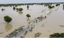 Nijerya'da bu yıl seller nedeniyle 7 binden fazla kişi yerinden oldu