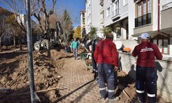 Bilecik Belediyesi, Uğur Mumcu Parkı’nda peyzaj ve üstyapı çalışmalarına başladı