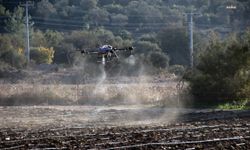 Bodrum Belediyesi'nden dron ile ilaçlama dönemi başlıyor