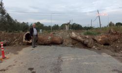Burhaniye'de yol kavgası: Vatandaş yol arazisinden geçiyor diye yolu kapattı, iki mahallenin ulaşımı kesildi
