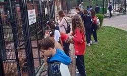 Bursa Osmangazi'de çocuklara hayvan sevgisi aşılanıyor