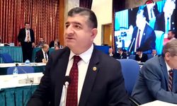 CHP Antalya milletvekili Arı: İktidar CHPli belediyeleri nasıl çalıştırmayız derdinde