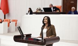 HDP’li Şevin Coşkun’dan Bakan Soylu’ya KADES uygulamasını surdu