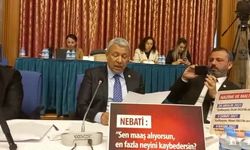 CHP'li Sümer, bakan Nebati'ye böyle seslendi: Ekonomi hurdaya çıkmış siz ışıltı peşindesiniz