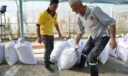 Tarsus Belediyesi çiftöiye ata tohum buğday dağıttı