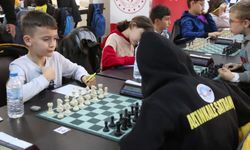 Yalova Subaşı'nda satranç turnuvası heyecanı