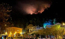 Bartın'da orman yangını: Müdahale başladı, yangını çıkartan 4 kişi gözaltında