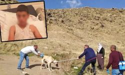 Tedavi sonuç vermedi: Bitlis'te kuduz olan çocuk yaşamını yitirdi