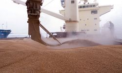 Rusya'nın tahıl anlaşması kararı piyasada yüzde 5 artışa neden oldu: Süreç uzarsa buğday fiyatı 400 dolara ulaşabilir
