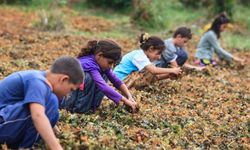 Utandıran veri: Türkiye'de her 5 çocuktan 1'i mutlak yoksullukla büyüyor