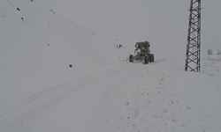Hakkari'de kar nedeniyle 155 yerleşim biriminin yolu kapandı
