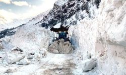 Hakkari'de kar yağışı nedeniyle kapanan 146 yol ulaşıma açıldı