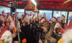 Hayvan hakları savunucuları Paris’te fast food zincirini bastı