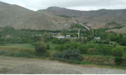 Kars'ta kuduz karantinası başladı: Bir köye giriş çıkışlar yasaklandı