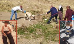 Bitlis'te 36 kuduz vakası: Köpek tarafından ısırılan çocuk ailesinden gizlemiş