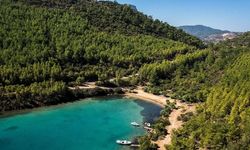 Cengiz İnşaat ye ye bitiremedi: Bodrum'daki turistik tesis için "ÇED gerekli değildir" kararı çıktı
