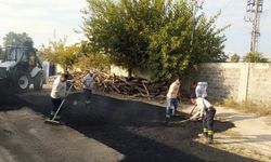 Ceyhan Belediyesi, asfalt çalışmalarını sürdürüyor