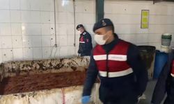 Salçanın bile kaçağı çıktı: 25 ton salçaya el konuldu