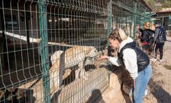 Mersin Büyükşehir barınağına hayvanseverlerden ziyaret
