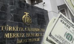 Merkez Bankası'nın yılsonu beklentisi açıklandı: Dolar/TL 18,78; Enflasyon 34,92