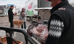 Yozgat’ta sokak hayvanlarını besleyip bakımını yapan 2 hayvansever destek bekliyor